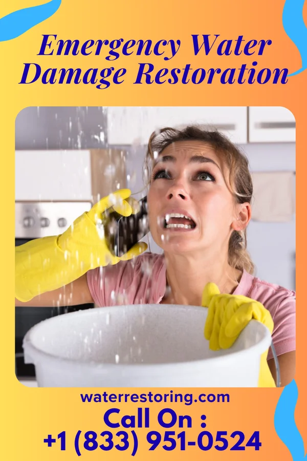 Emergency Water Damage Restoration in Ethel, MS