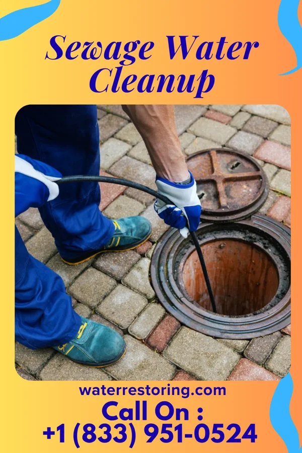 Sewage Water Cleanup in Ethel, MS